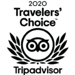 2020 Travelers Choice